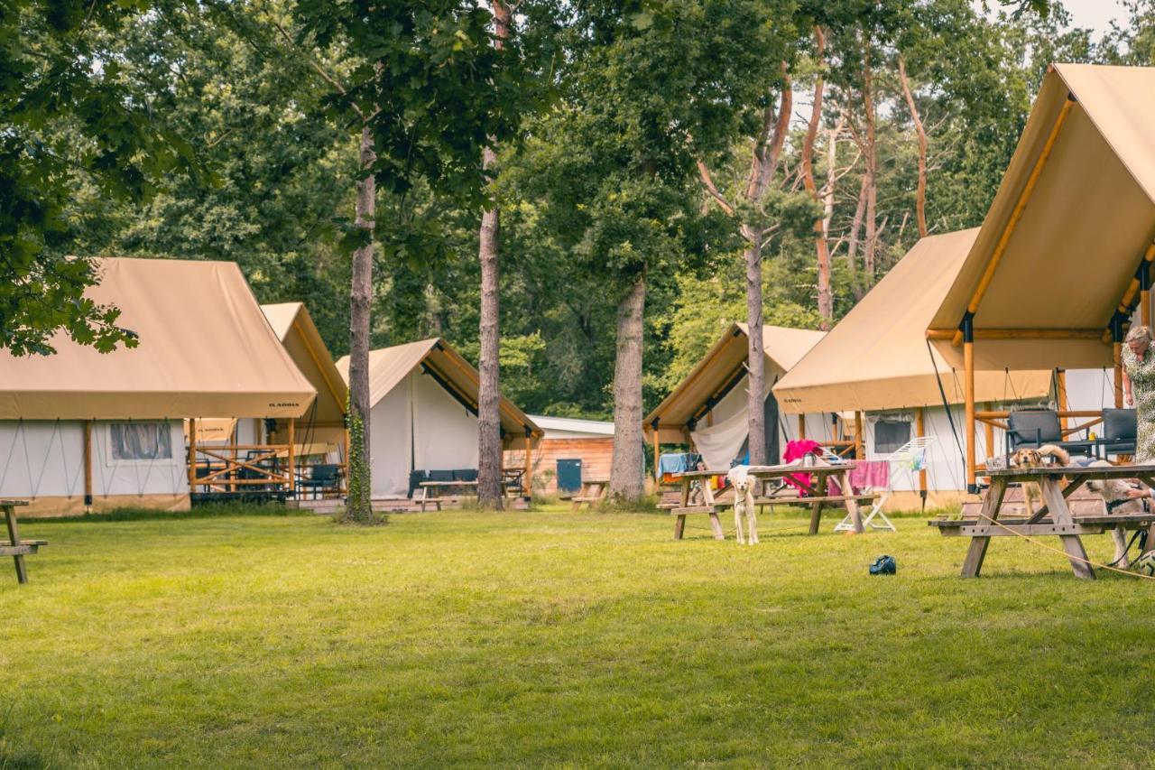 Europarcs Reestervallei IJhorst Eksteriør billede
